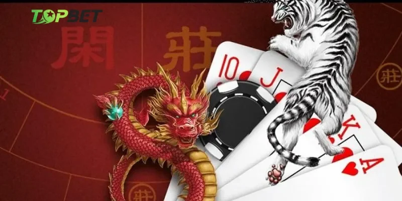 Kinh nghiệm soi cầu rồng hổ thực chiến từ cao thủ